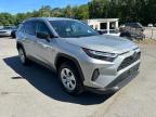 2024 TOYOTA RAV4 LE   for sale at Copart MA - NORTH BOSTON