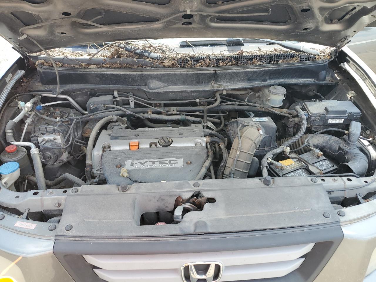 2007 Honda Element Ex VIN: 5J6YH28777L016255 Lot: 66883465