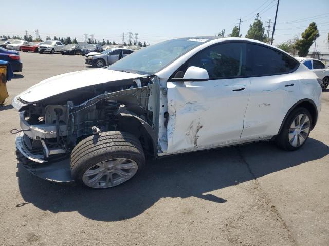  TESLA MODEL Y 2023 White