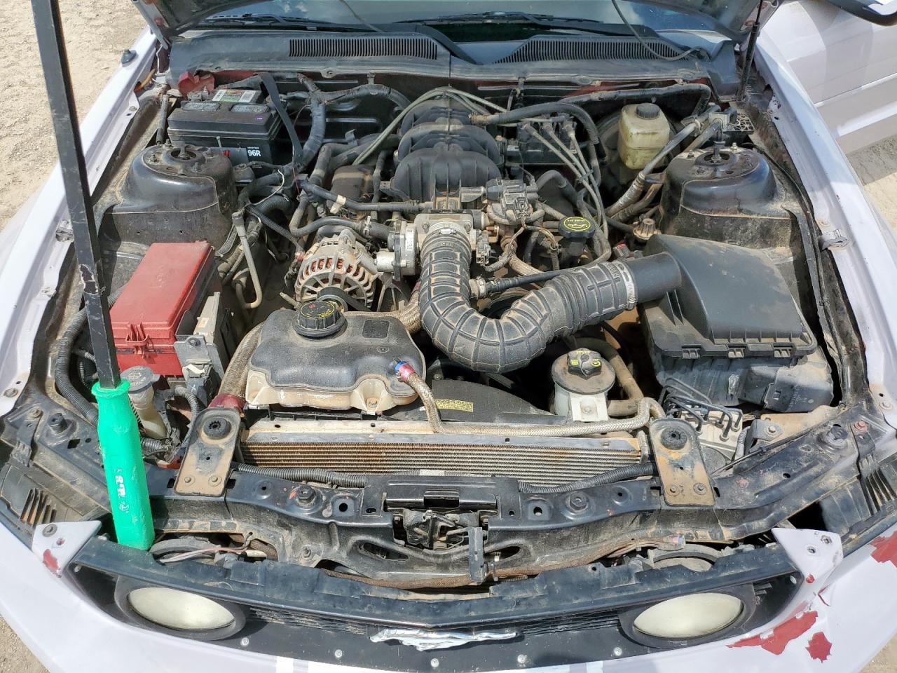 2008 Ford Mustang VIN: 1ZVHT80N085124253 Lot: 69157435