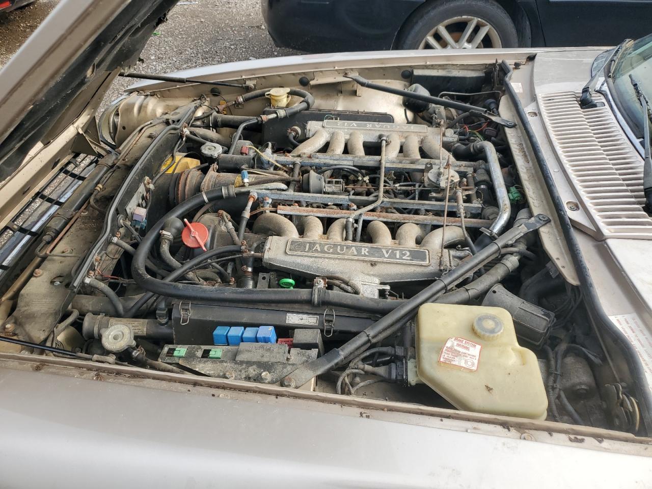 1992 Jaguar Xjs VIN: SAJNW5844NC181703 Lot: 69402115