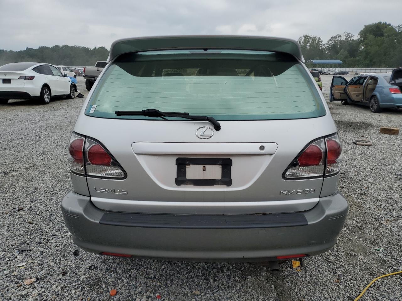 2002 Lexus Rx 300 VIN: JTJHF10U020271716 Lot: 69734385