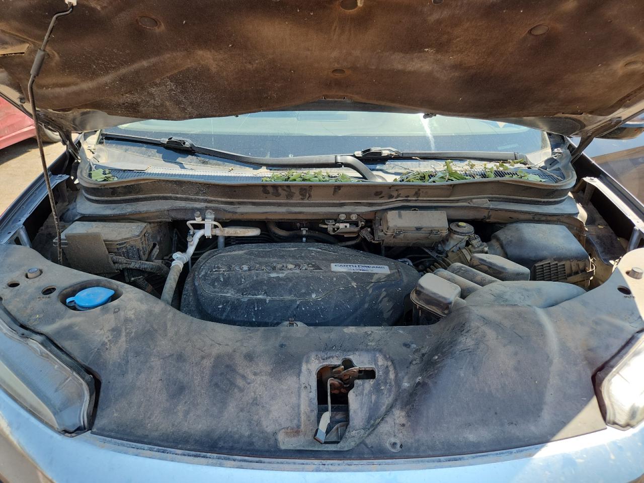 2020 Honda Pilot Elite VIN: 5FNYF6H02LB032625 Lot: 69782685