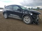 2025 FORD ESCAPE ACTIVE   à vendre chez Copart AB - CALGARY