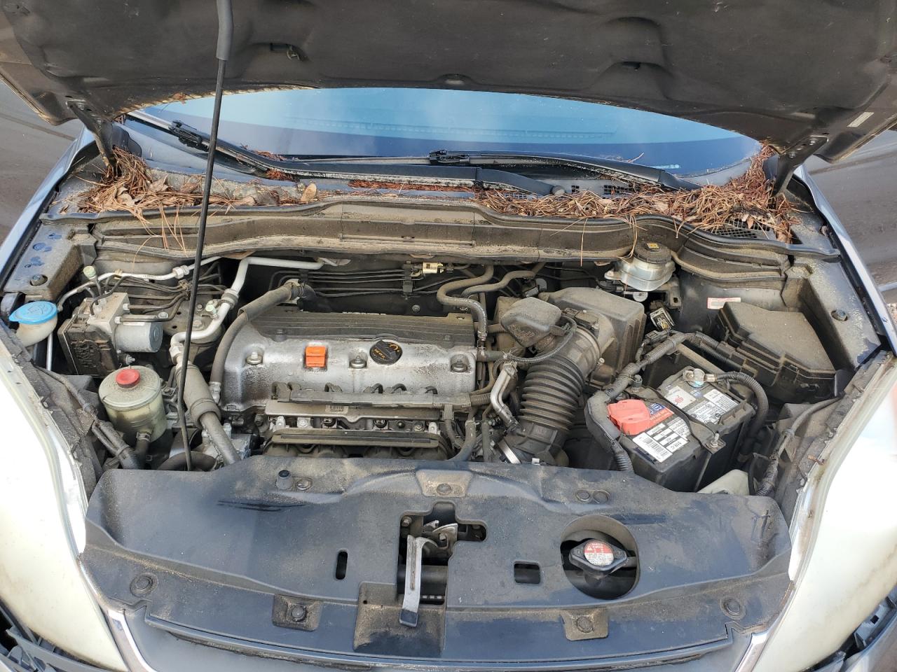 2011 Honda Cr-V Lx VIN: 5J6RE3H3XBL024097 Lot: 69027635