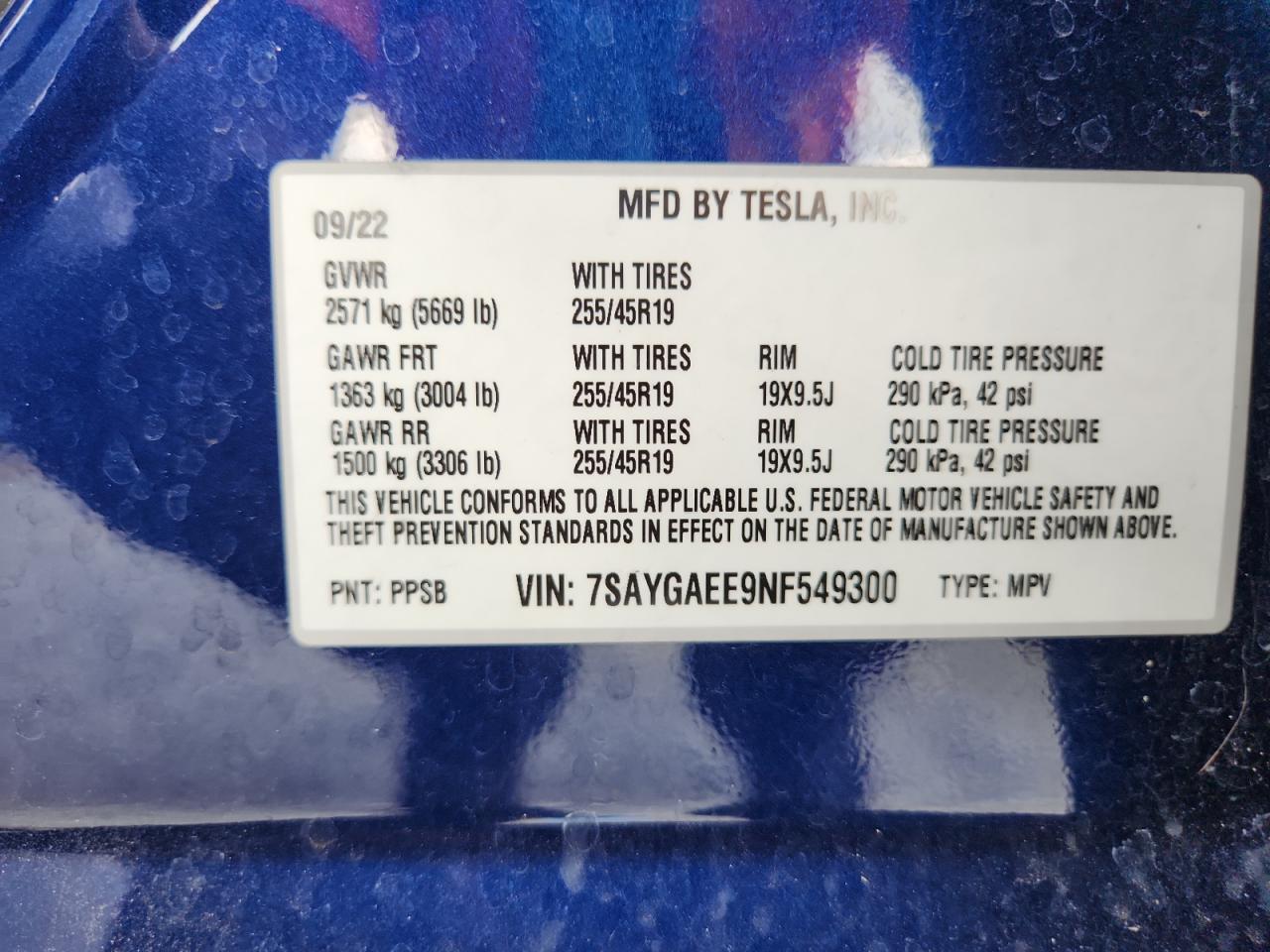 2022 Tesla Model Y VIN: 7SAYGAEE9NF549300 Lot: 70552155