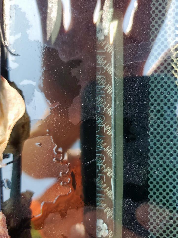 2004 Honda Accord Lx VIN: 1HGCM56354A065444 Lot: 68929565