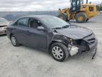 2013 TOYOTA COROLLA BASE   for sale at Copart NS - HALIFAX