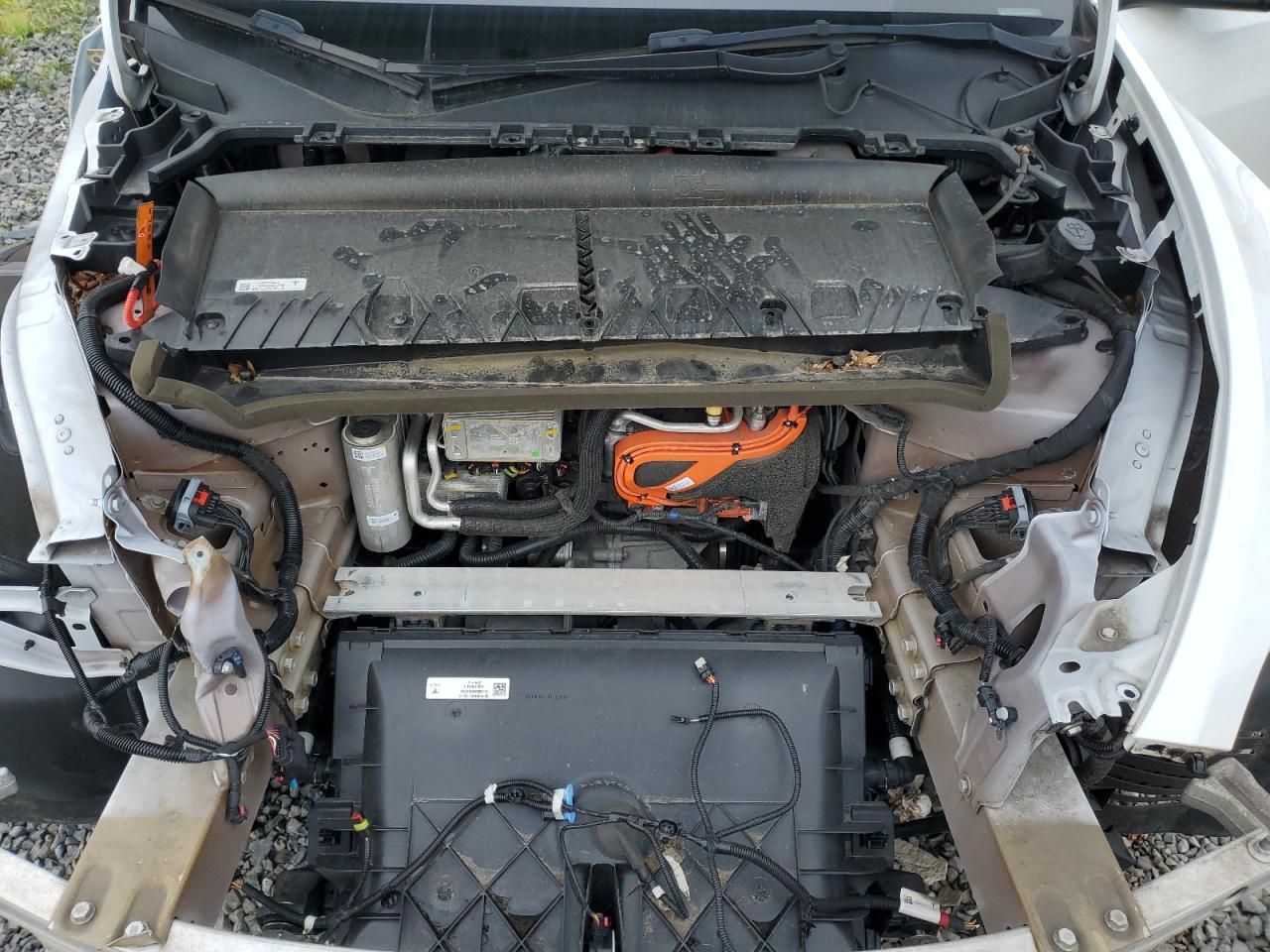 2022 Tesla Model Y VIN: 7SAYGDEE2NF423359 Lot: 69243245