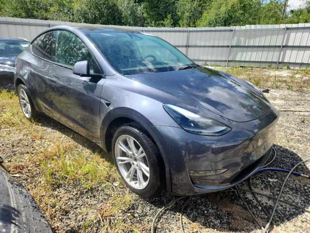  TESLA MODEL Y 2023 Szary