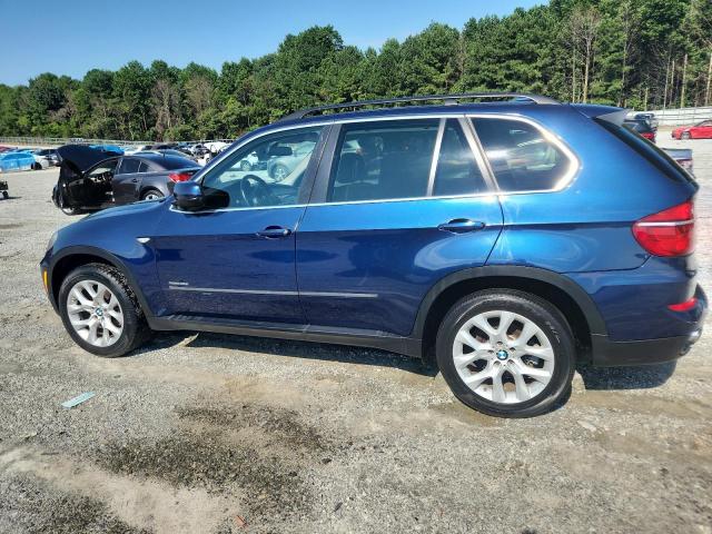 Parquets BMW X5 2013 Blue