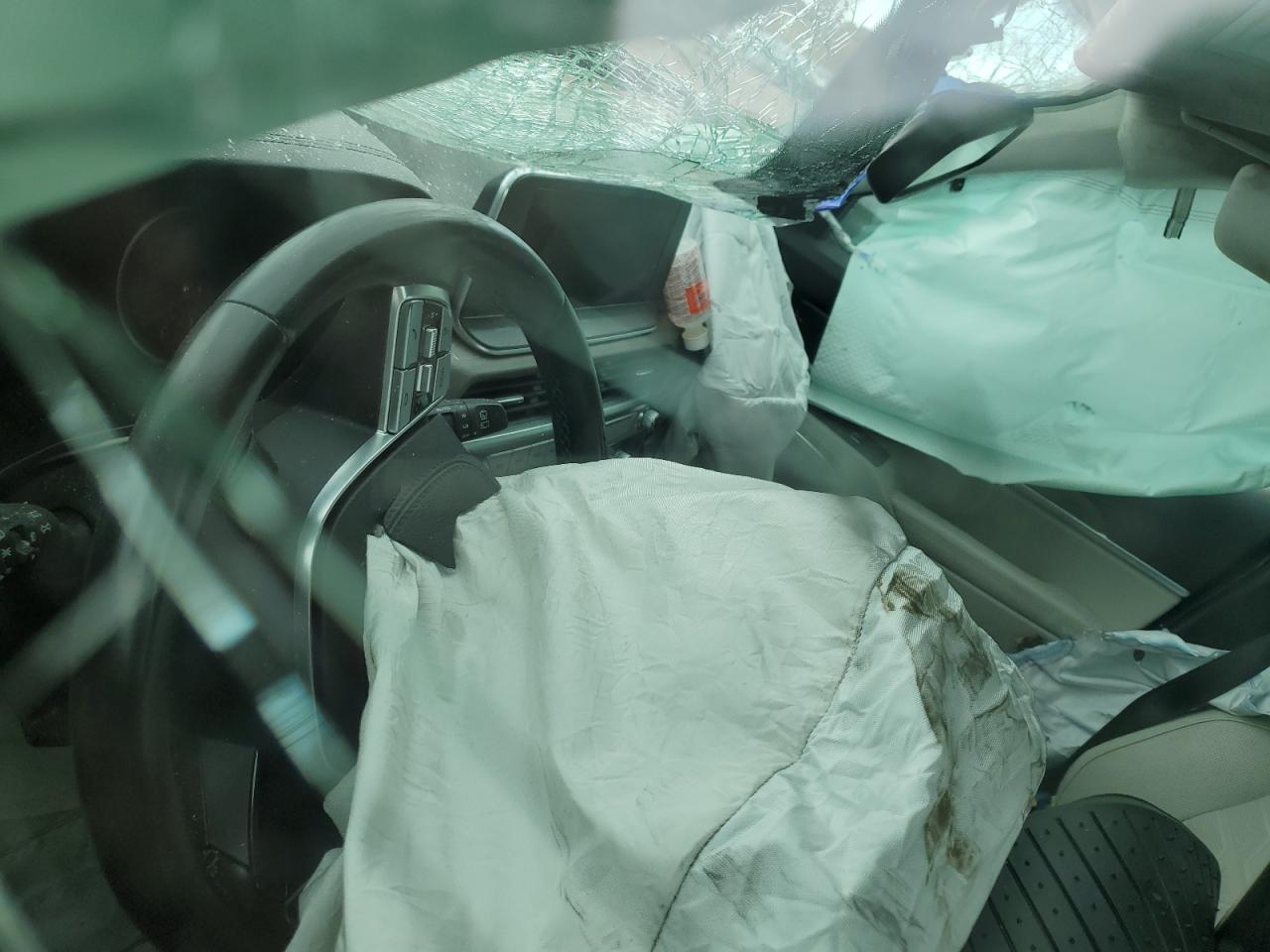 2022 Kia Telluride Sx VIN: 5XYP5DHC6NG234084 Lot: 69314615