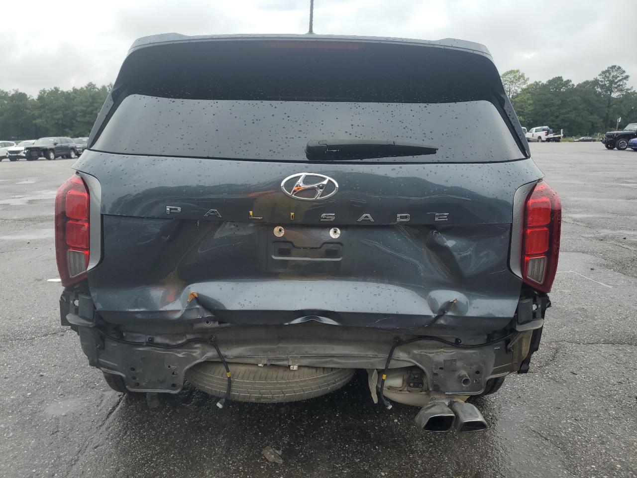 2020 Hyundai Palisade Sel VIN: KM8R44HE7LU097094 Lot: 70741245