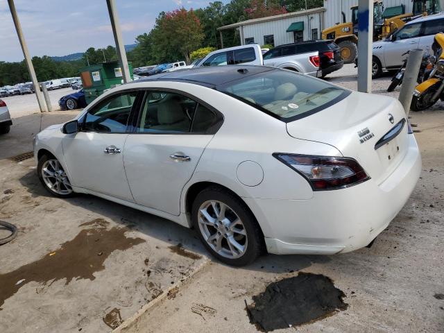  NISSAN MAXIMA 2013 Biały