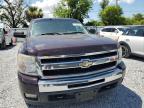 2009 CHEVROLET SILVERADO K1500 LT   for sale at Copart FL - TAMPA SOUTH