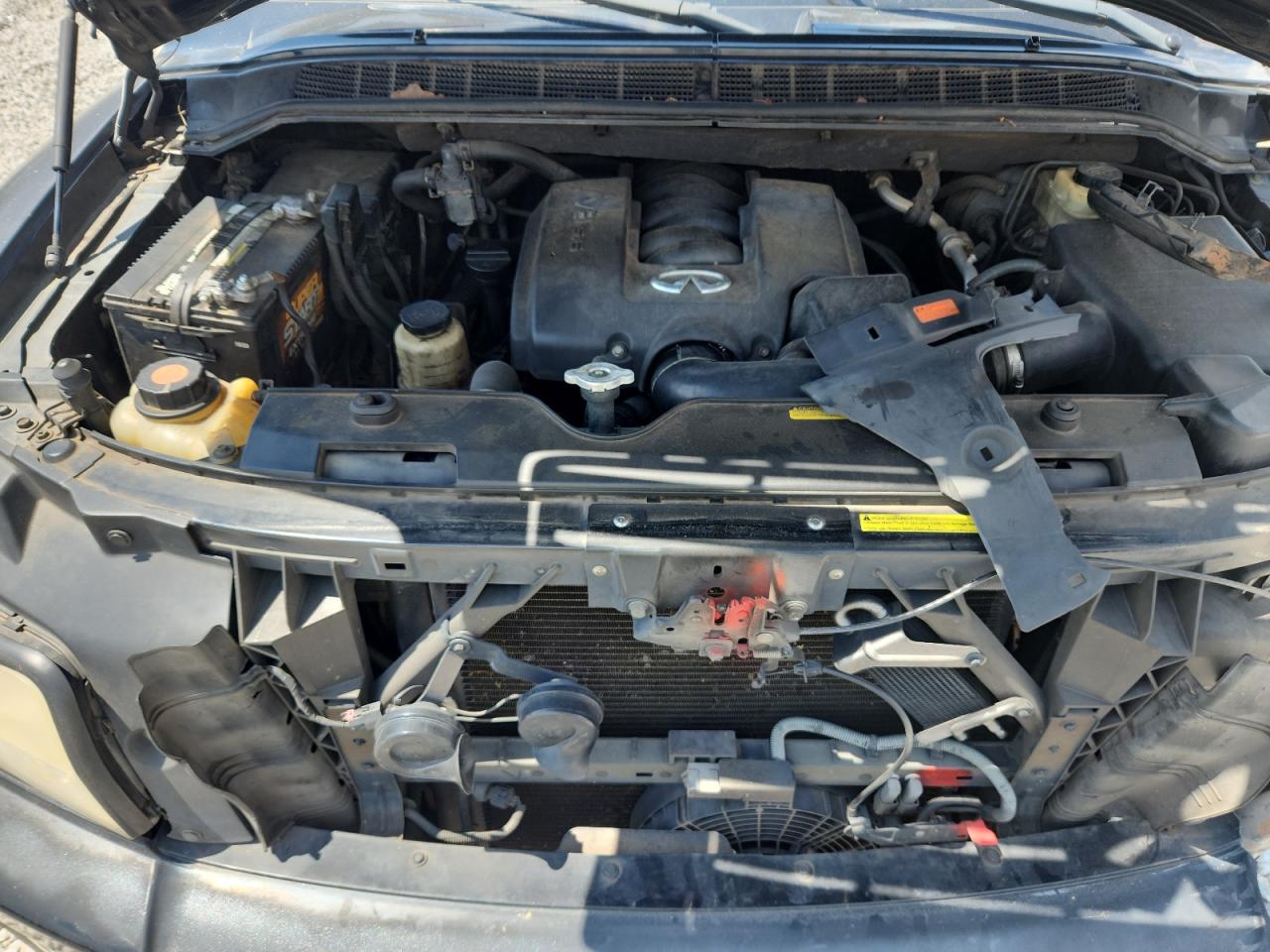 2004 Infiniti Qx56 VIN: 5N3AA08A24N800065 Lot: 71021025