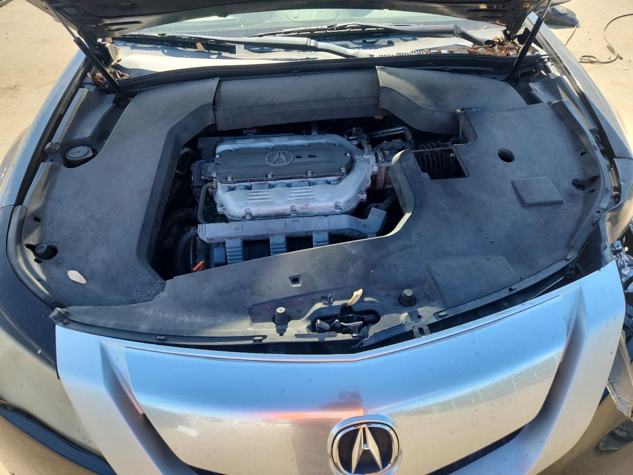 2010 Acura Tl VIN: 19UUA8F53AA020790 Lot: 69131905