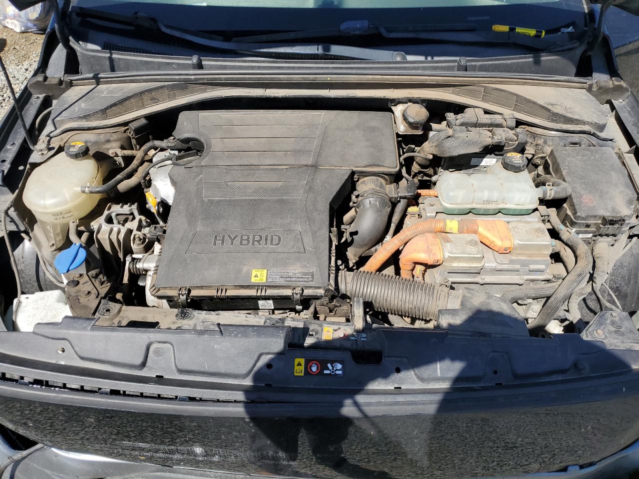 2019 Hyundai Ioniq Blue VIN: KMHC65LC5KU111469 Lot: 70781365