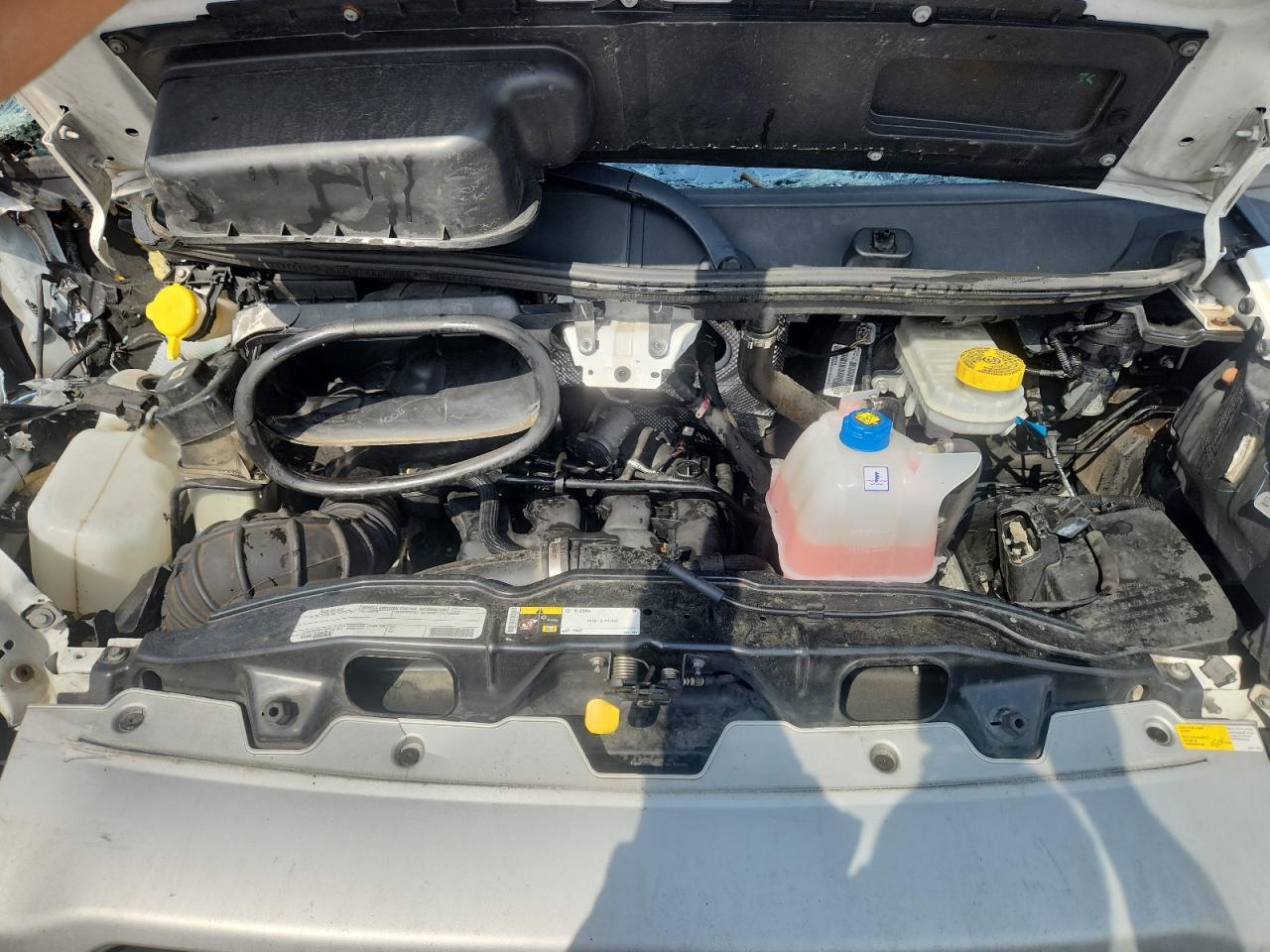 2019 Ram Promaster 1500 1500 Standard VIN: 3C6TRVAG9KE532831 Lot: 69190505