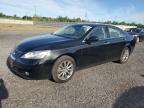 2009 LEXUS ES 350   for sale at Copart ON - OTTAWA