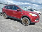 2014 FORD ESCAPE SE   for sale at Copart ON - OTTAWA