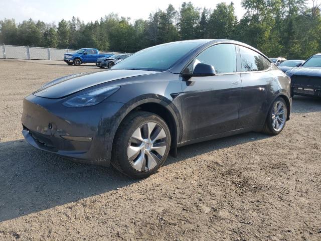2024 TESLA MODEL Y    for sale at Copart ON - COOKSTOWN