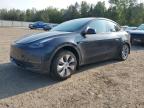 2024 TESLA MODEL Y    for sale at Copart ON - COOKSTOWN