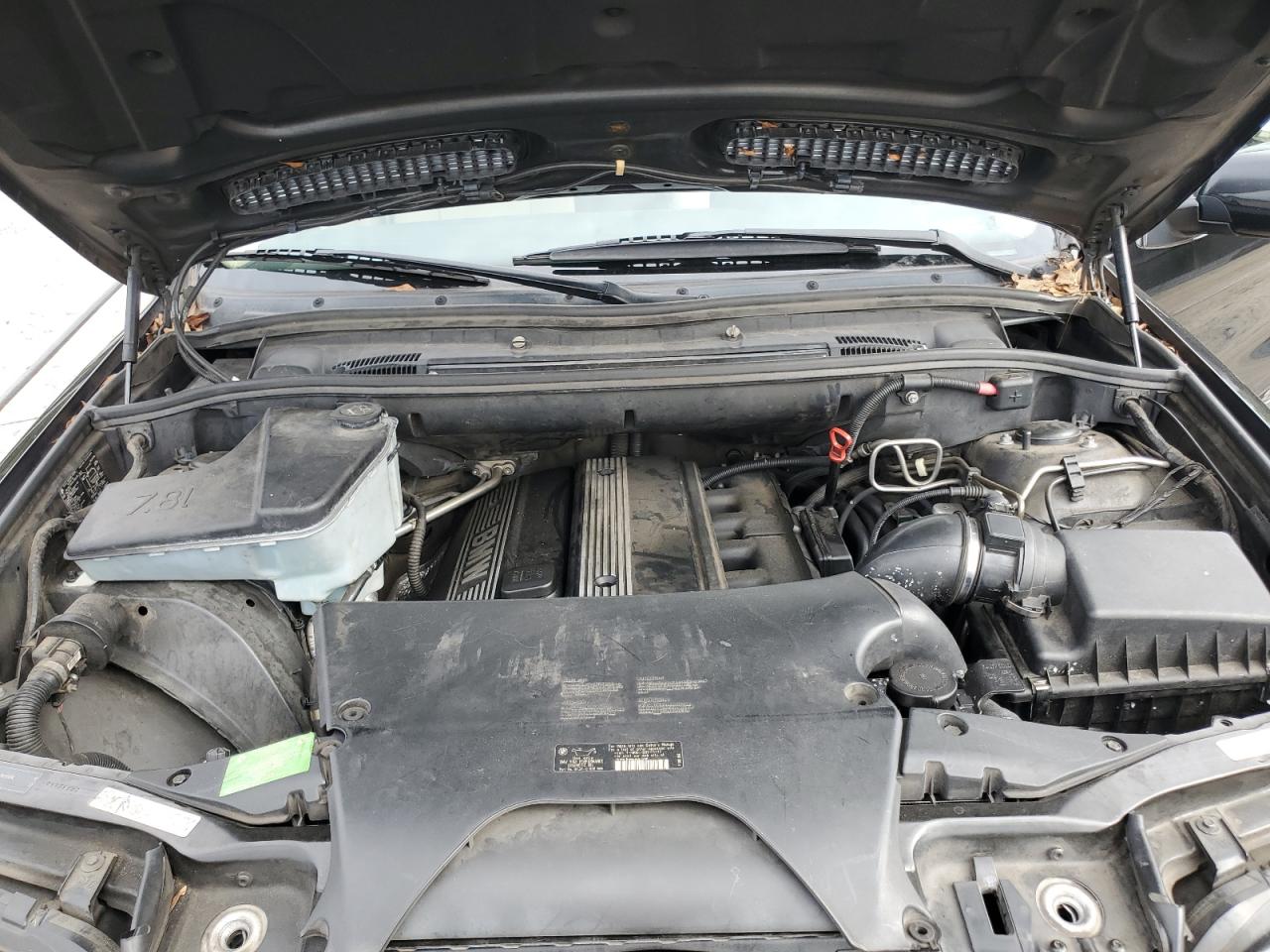 2006 BMW X5 3.0I VIN: 5UXFA13506LY45828 Lot: 69556875