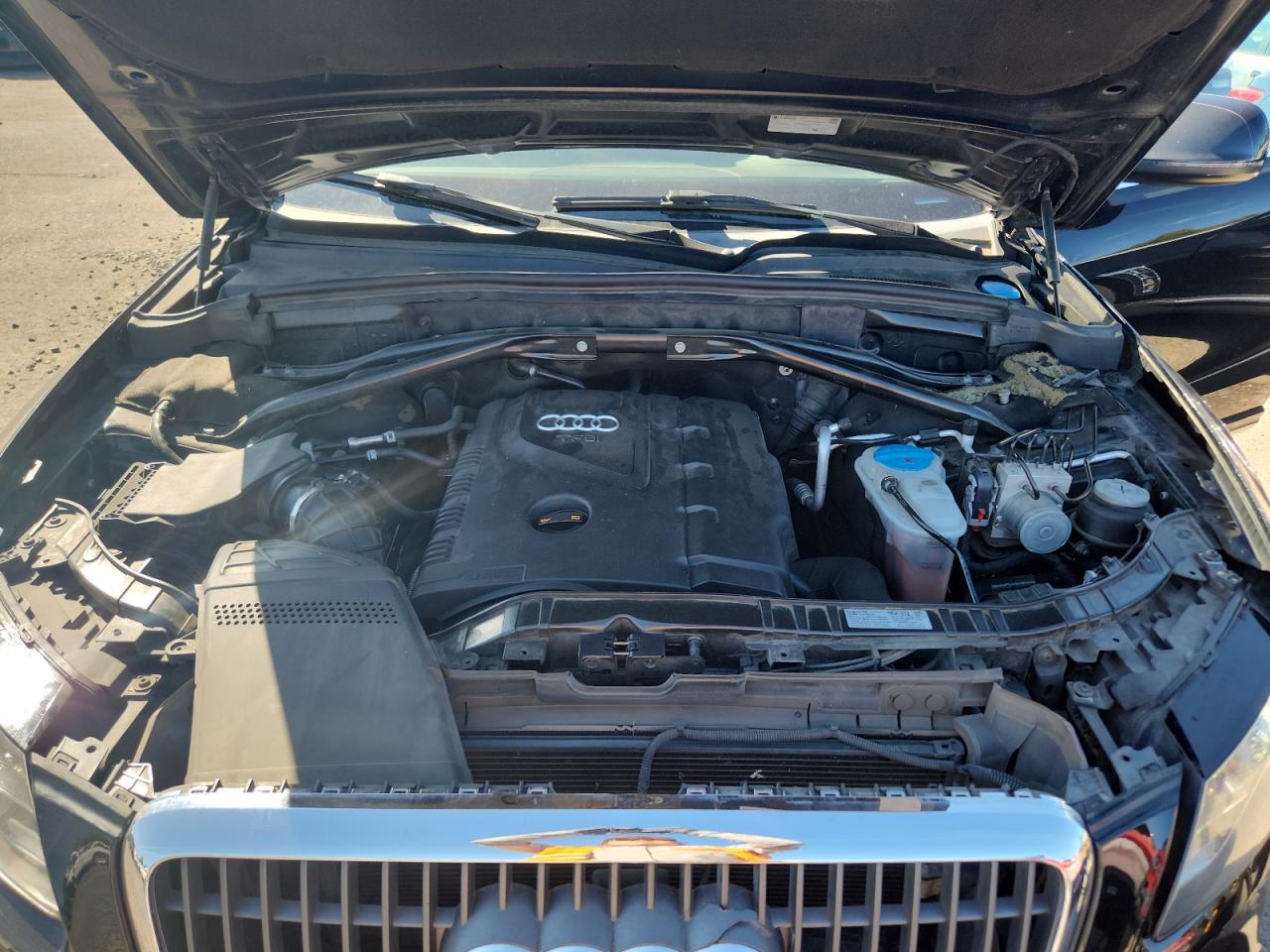 2011 Audi Q5 Premium Plus VIN: WA1LFAFP1BA022344 Lot: 69151465