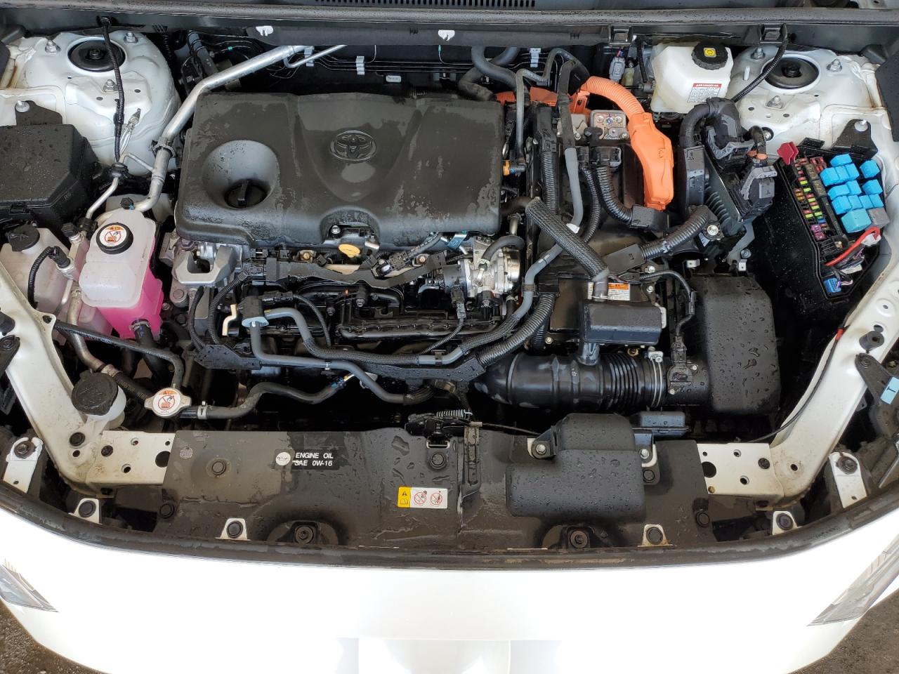 2T3B6RFV5RW076126 2024 Toyota Rav4 Xle Premium