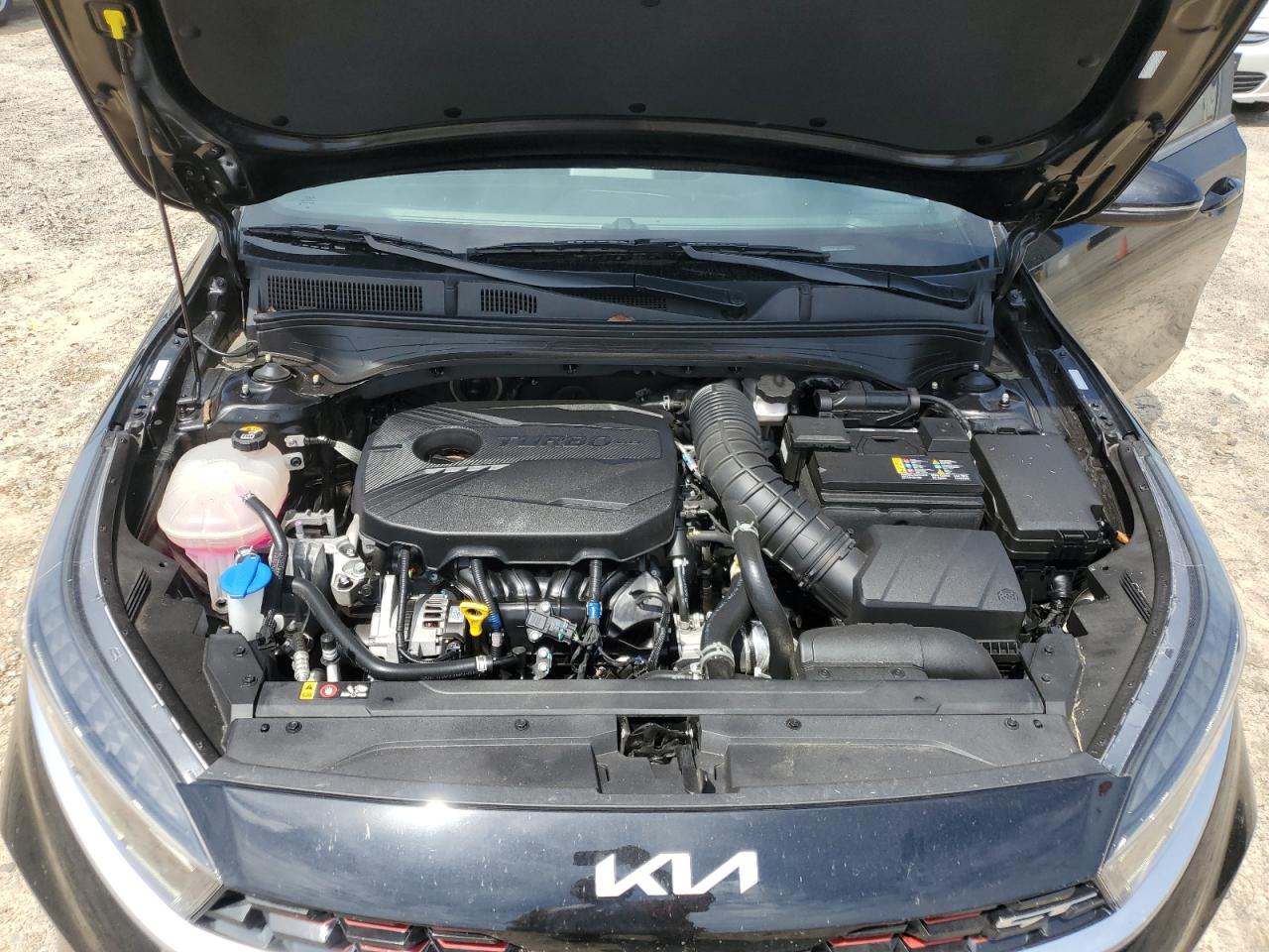 2024 Kia Forte Gt VIN: 3KPF44AC4RE753436 Lot: 70772185