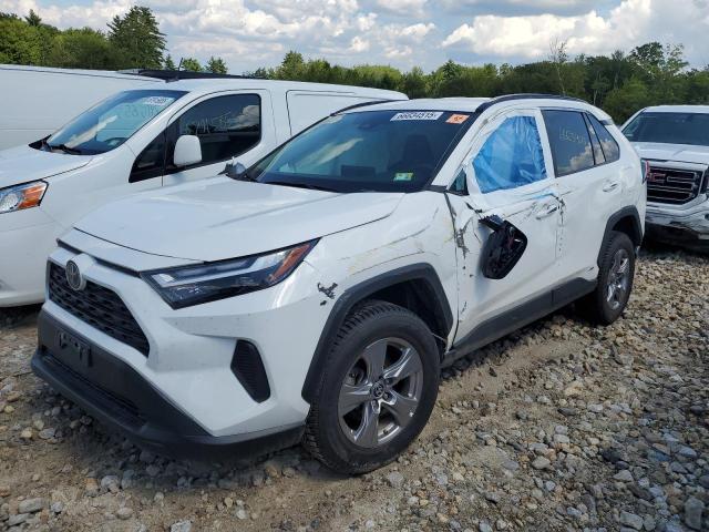 TOYOTA RAV4 LE 2023