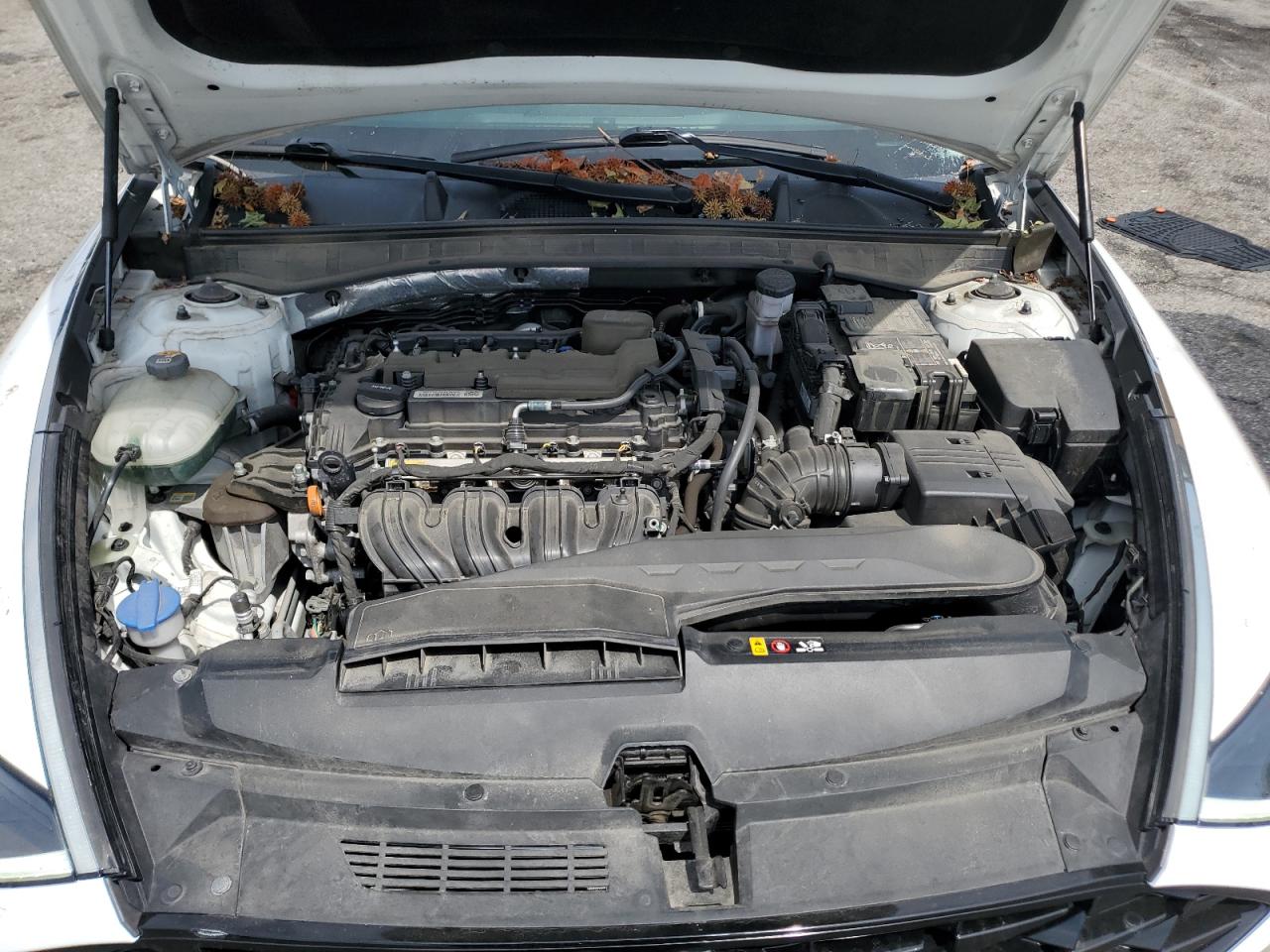 2021 Hyundai Sonata Sel VIN: 5NPEF4JA0MH077334 Lot: 67459875