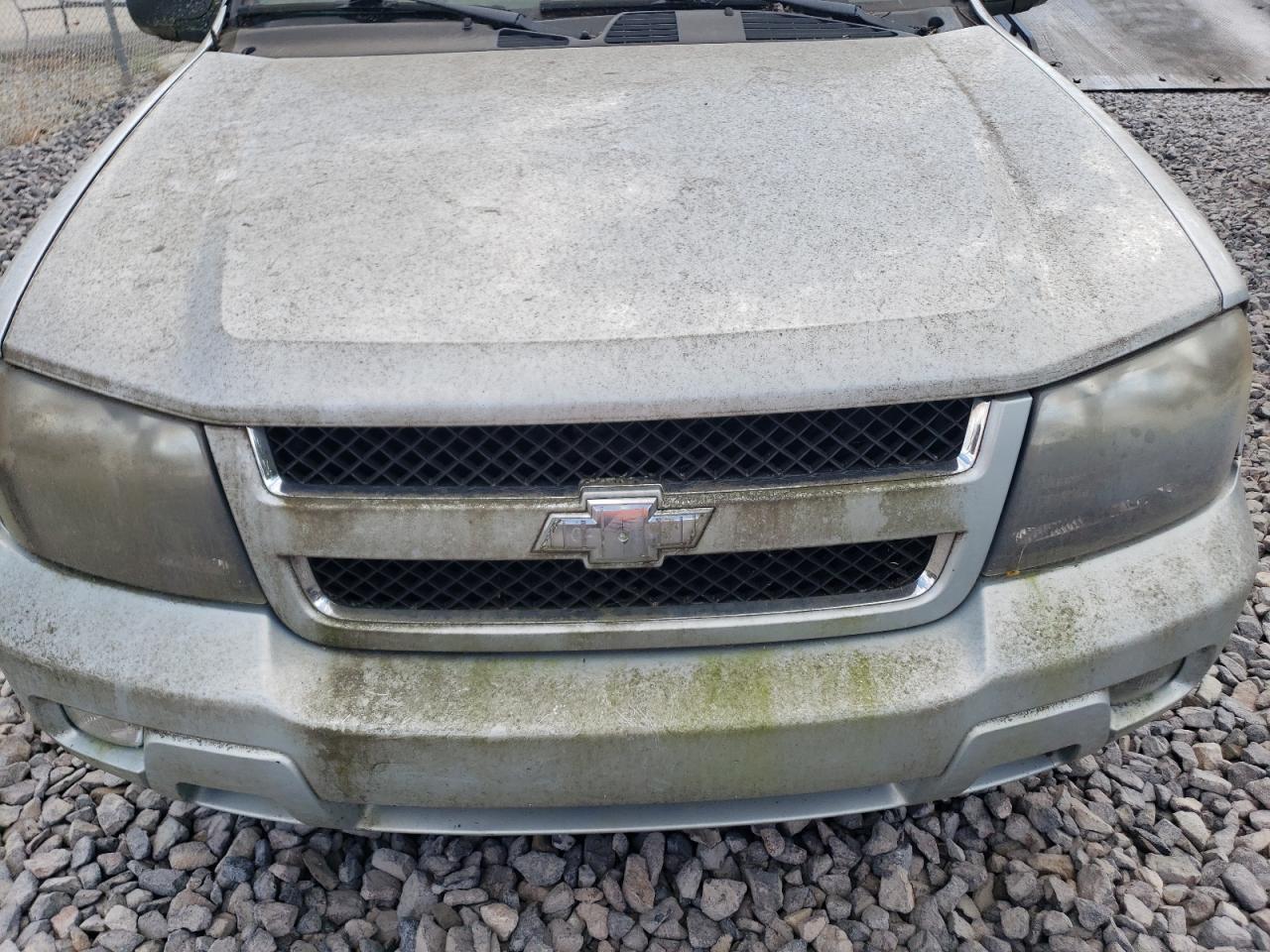 2007 Chevrolet Trailblazer Ls VIN: 1GNDT13S472155491 Lot: 66777285