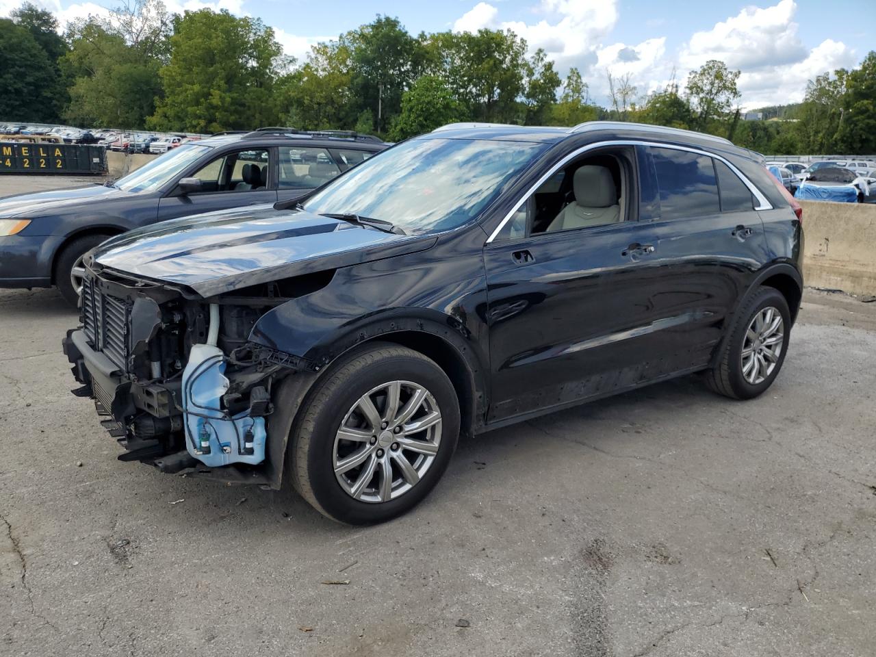 2019 Cadillac Xt4 Premium Luxury
