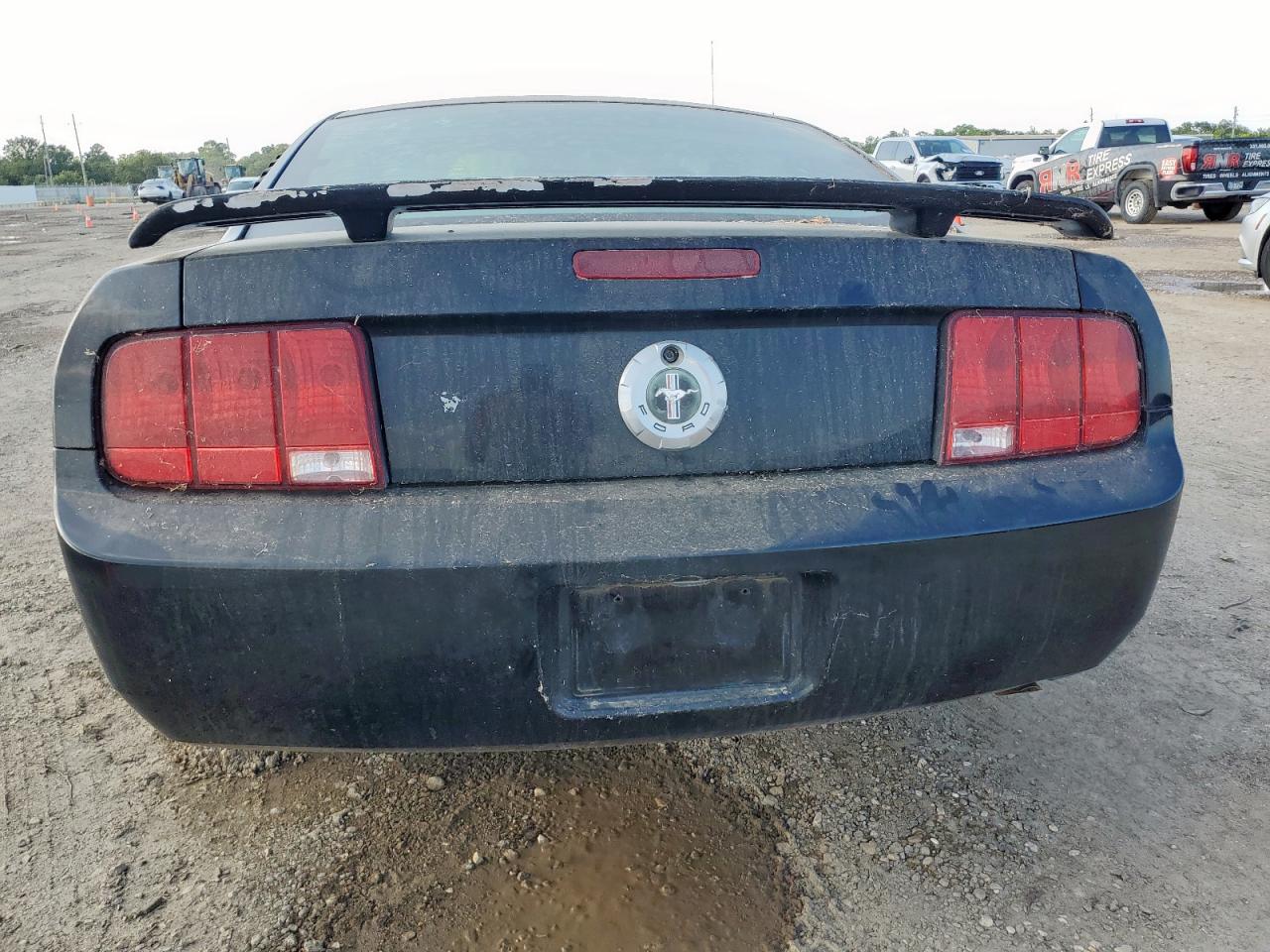 2006 Ford Mustang VIN: 1ZVFT80N165218081 Lot: 70607395