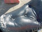 1990 KAWASAKI VN  800 for sale at Copart YORK