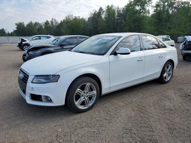 2011 AUDI A4 PREMIUM PLUS   à vendre chez Copart ON - COOKSTOWN