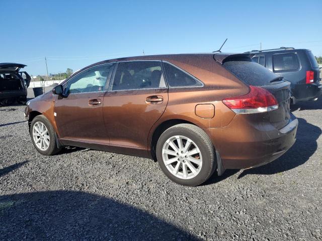 2010 TOYOTA VENZA   