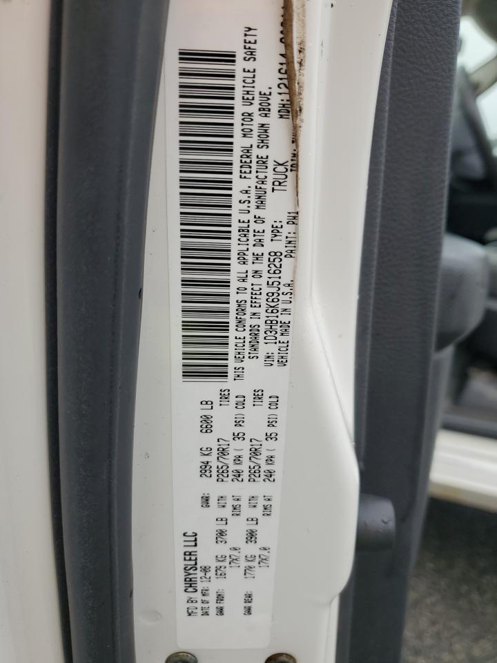 2009 Dodge Ram 1500 VIN: 1D3HB16K69J516258 Lot: 66669035