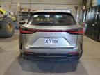 2023 LEXUS NX 350H   à vendre chez Copart QC - MONTREAL