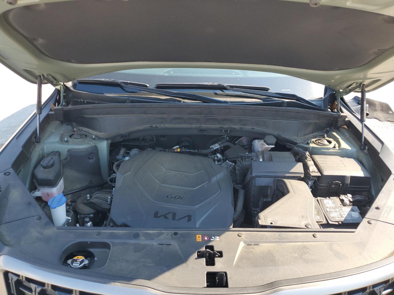 2023 Kia Telluride Sx VIN: 5XYP5DGC8PG395508 Lot: 69284735