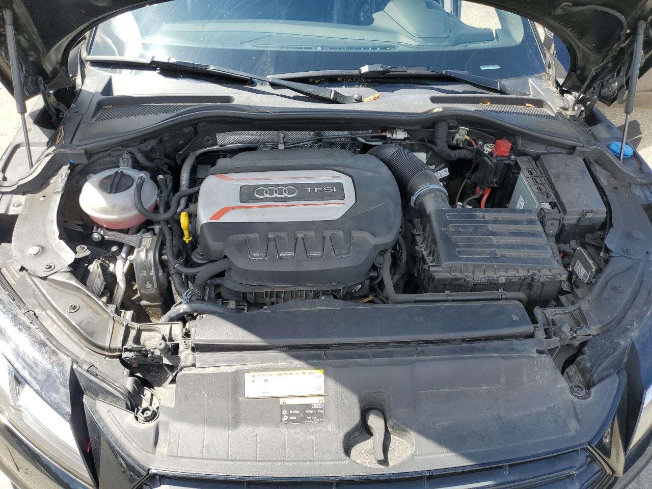 Фото: TRUC1AFV9H1003087