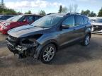 2016 FORD ESCAPE SE   à vendre chez Copart ON - TORONTO