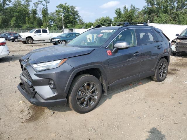 TOYOTA RAV4 XLE P 2024