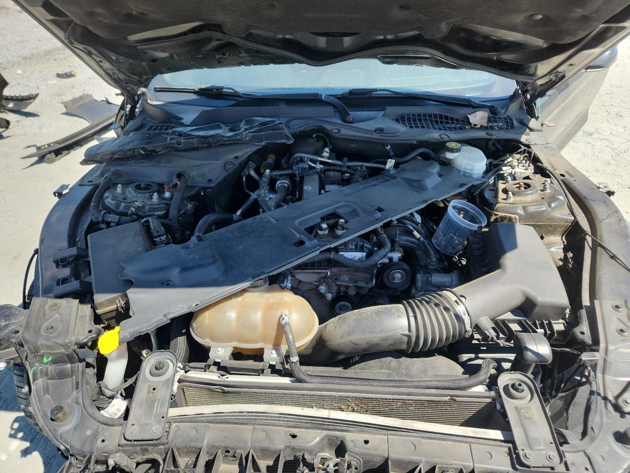 2018 Ford Mustang VIN: 1FA6P8TH5J5178776 Lot: 70194625