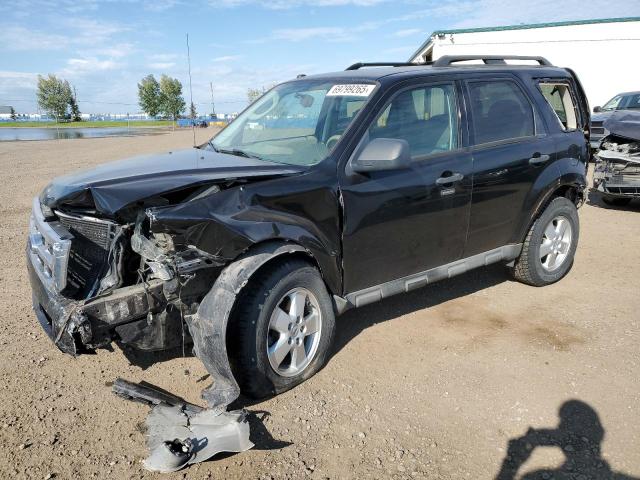 2009 FORD ESCAPE XLT   à vendre chez Copart AB - CALGARY