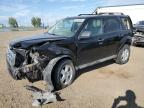 2009 FORD ESCAPE XLT   à vendre chez Copart AB - CALGARY
