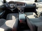 2019 DODGE CHARGER SXT à vendre chez Copart CT - HARTFORD SPRINGFIELD