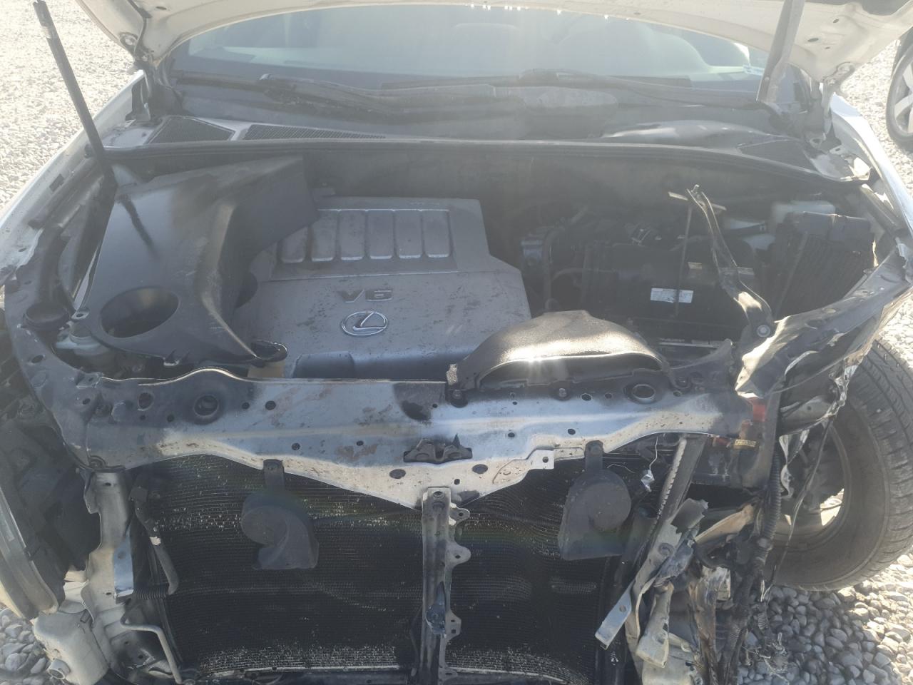 2007 Lexus Rx 350 VIN: JTJGK31U970001389 Lot: 66896985